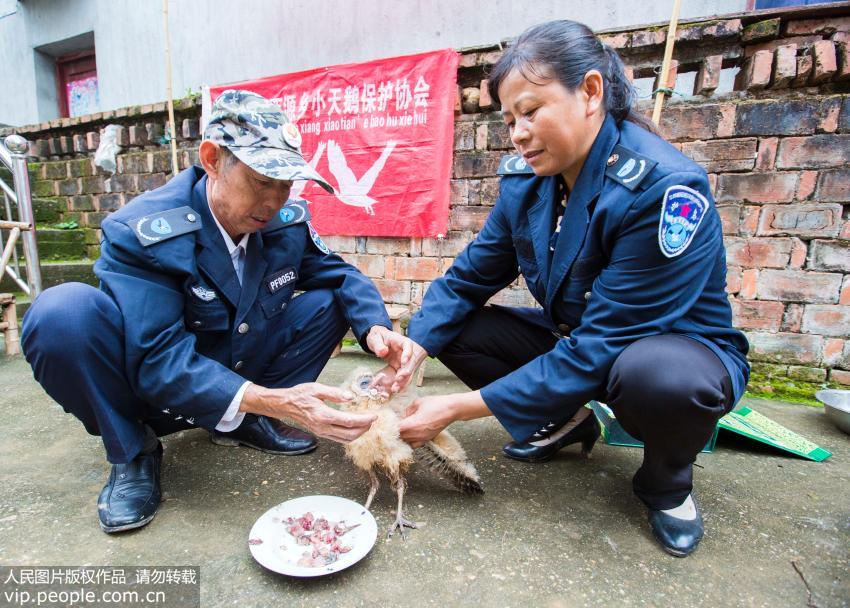 ���壺�ȷ��죡۶��������ֻ����ӥ�����м��ˡ�7��