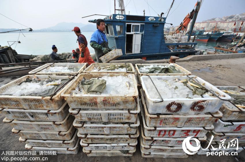 ��������գ�������洬�н��ƻ�����������ͷ��