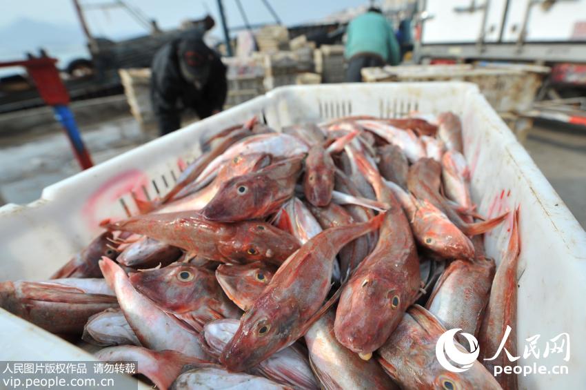 ��ͷ�㱻�ѷ�����ͷ�ϵȴ�װ����