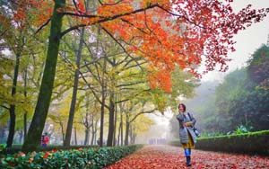 �Ͼ��������־�Ⱦӭ��������