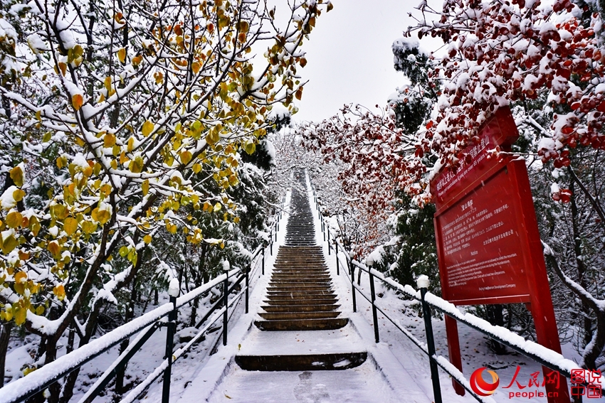 ����ӭ��ѩ�� �����°�ѩ������ͯ�����硾7��
