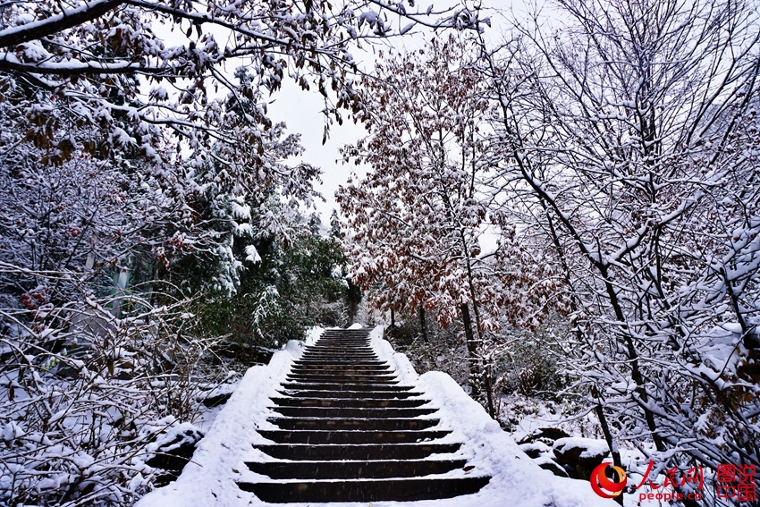 ����ӭ��ѩ�� �����°�ѩ������ͯ�����硾16��