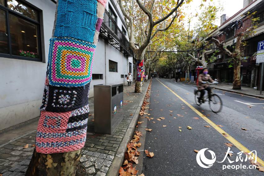 高清:上海街头梧桐树穿上彩色毛衣 又萌又暖获