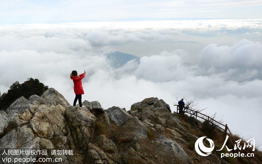 2015��11��25�գ��ο��ڽ���®ɽ���Ϸ������ƺ���������������/����ͼƬ��