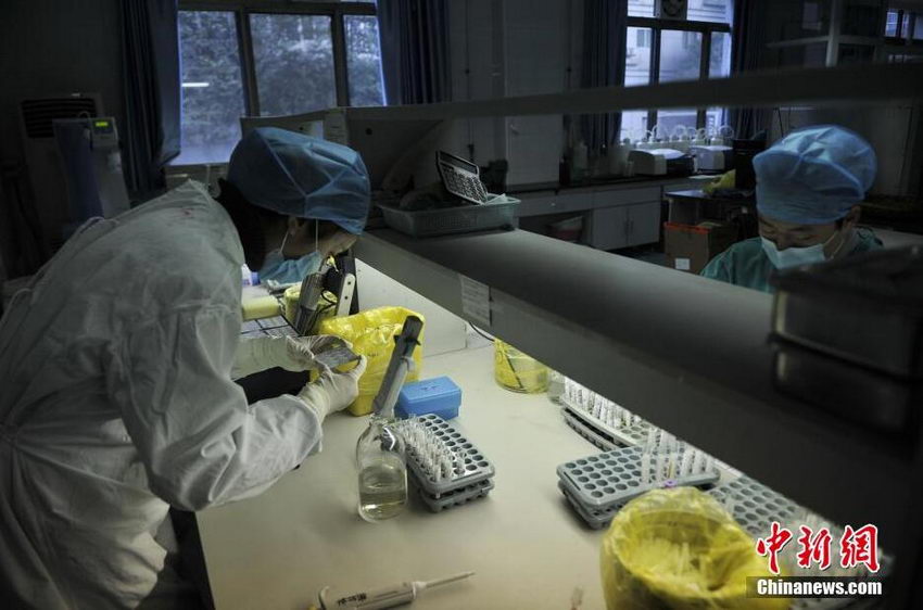 ̽������ҽԺ���̲�ɸ�顢ȷ��ʵ���ҡ�2��