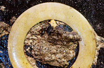 �ϲ�������Ĺ��������Ŷ��������������
