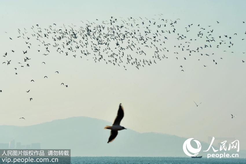 �ൺ���й�����Ÿ���Խ���� ��������ա����ο�Χ�ۡ�7��
