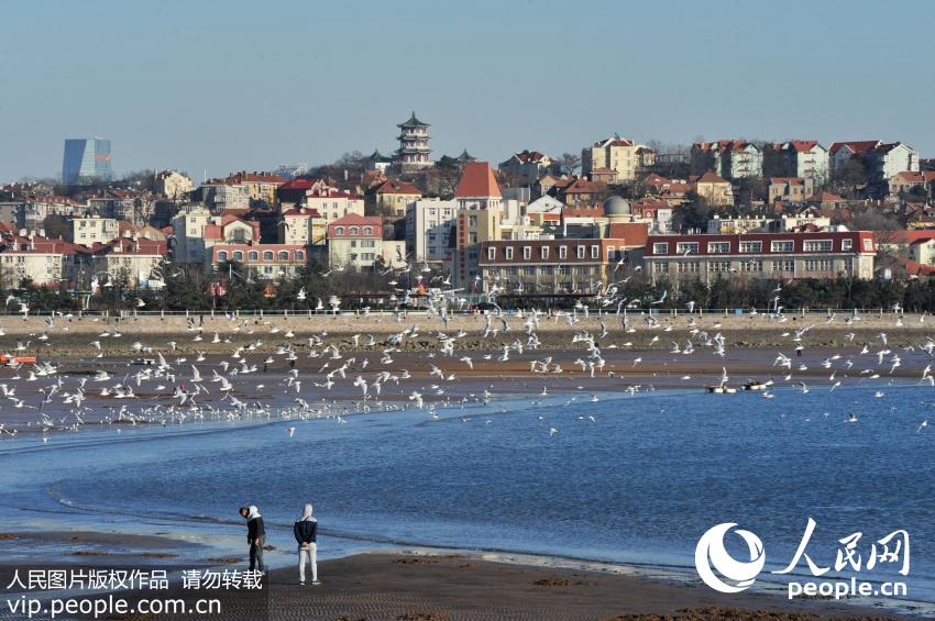 �ൺ���й�����Ÿ���Խ���� ��������ա����ο�Χ�ۡ�4��