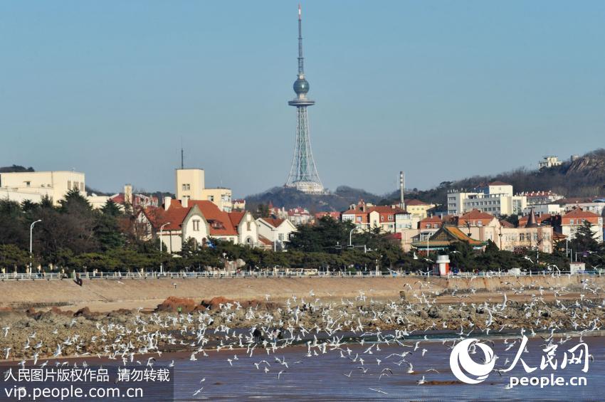 �ൺ���й�����Ÿ���Խ���� ��������ա����ο�Χ�ۡ�5��