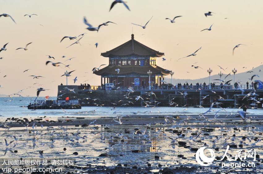 �ൺ���й�����Ÿ���Խ���� ��������ա����ο�Χ��
