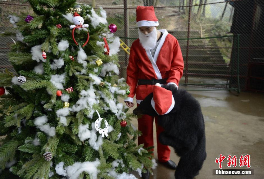 ��ɳ��Ϸ�Ź�ʥ���� ���޴�ʥ��ñ�Դ��ȡ�4��