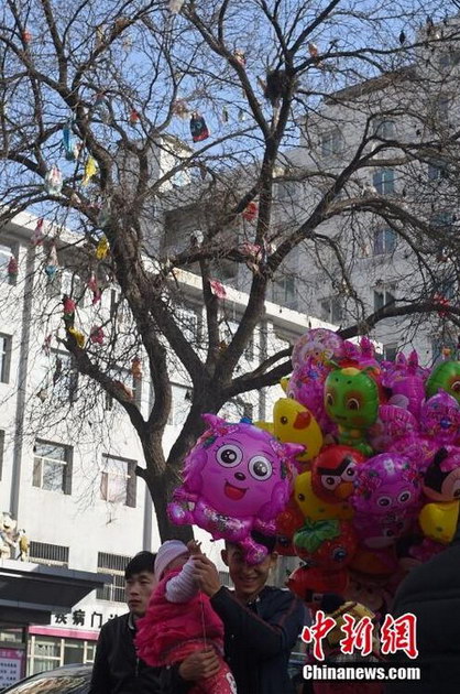 ̫ԭ�����ء�ʥ������ �ɱ��������֦ͷ��5��