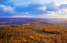 ���ѣ�����������8�Σ�