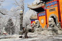 ���ѣ���Į���ӣ�3�Σ�