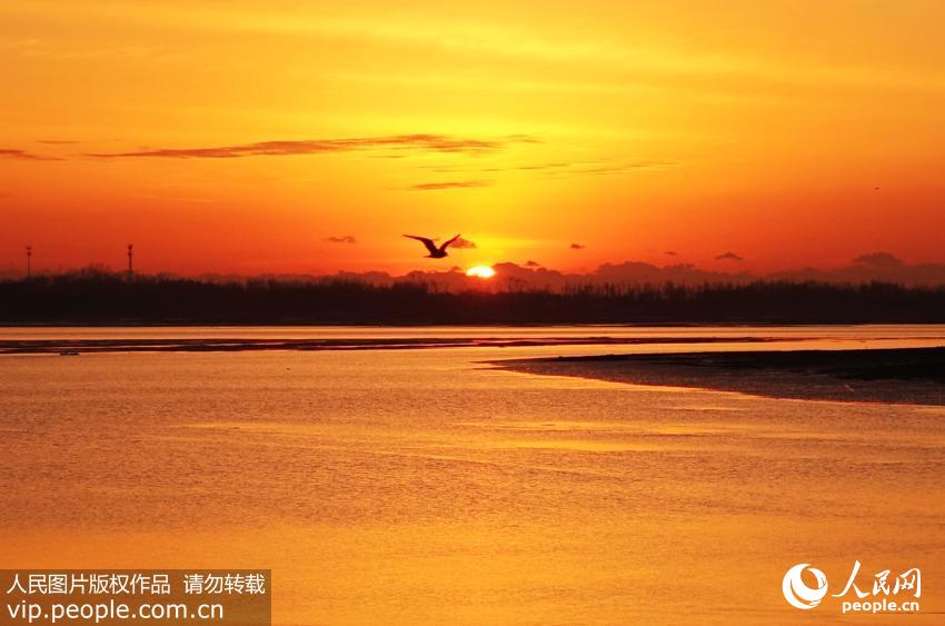 �ൺ�Ƶ��峿�ؾ����续��5��