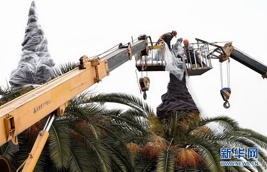 1��20�գ��㽭ʡ������԰���̻��ֹ�����Ա����ľ��������ů��������Ӧ�Ա�ѩ���������ĵ���������������