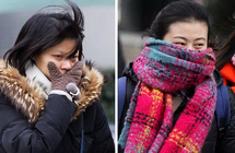 ���ػ���Ӧ�Ժ�����Ϯ