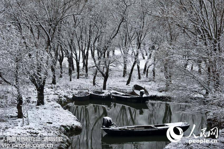 1��21�գ�����ʡ�����б���������Ј�ʪ��һ����ѩӳ�������羰�续�� ����Զ��/����ͼƬ��