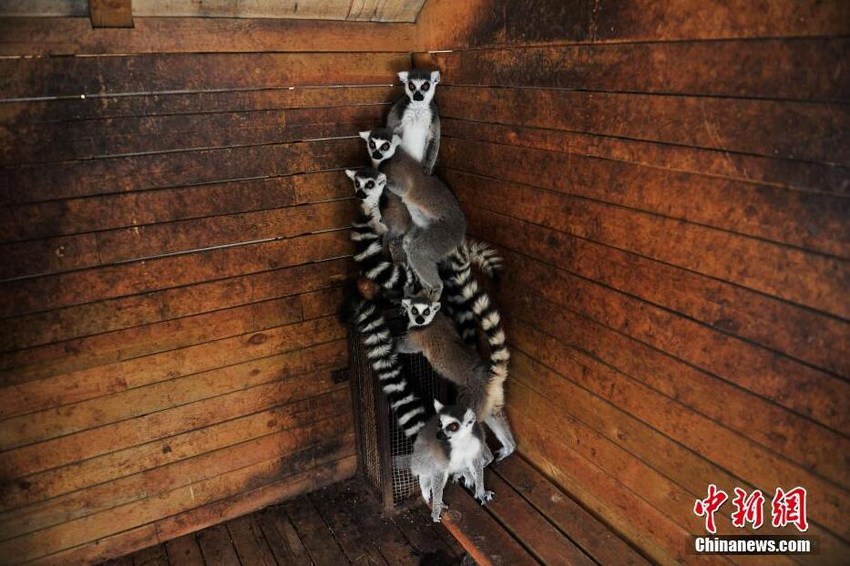 ����ů����ĺ�� 