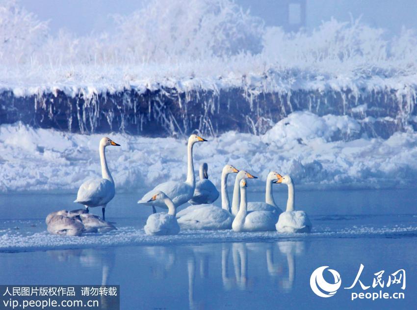 ������Ҵ�ںӱ��� ��������ȻԽ��