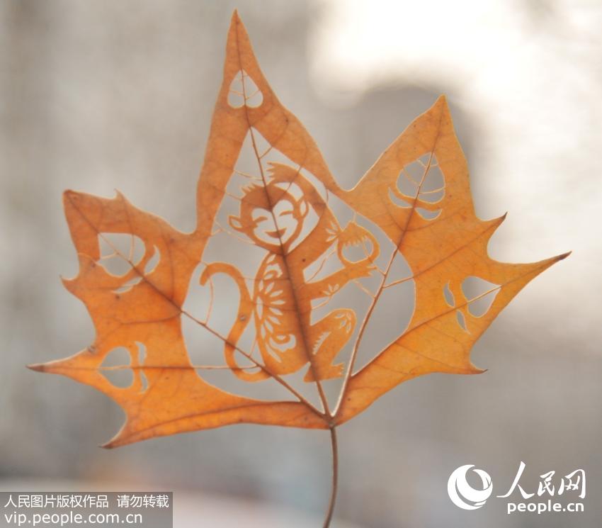 �ൺ���ѵ�̡���Ҷ�ӭ����