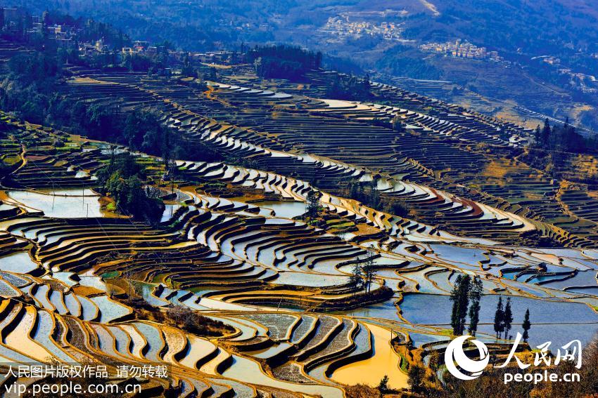 ����Ԫ��������������������ߡ�3��
