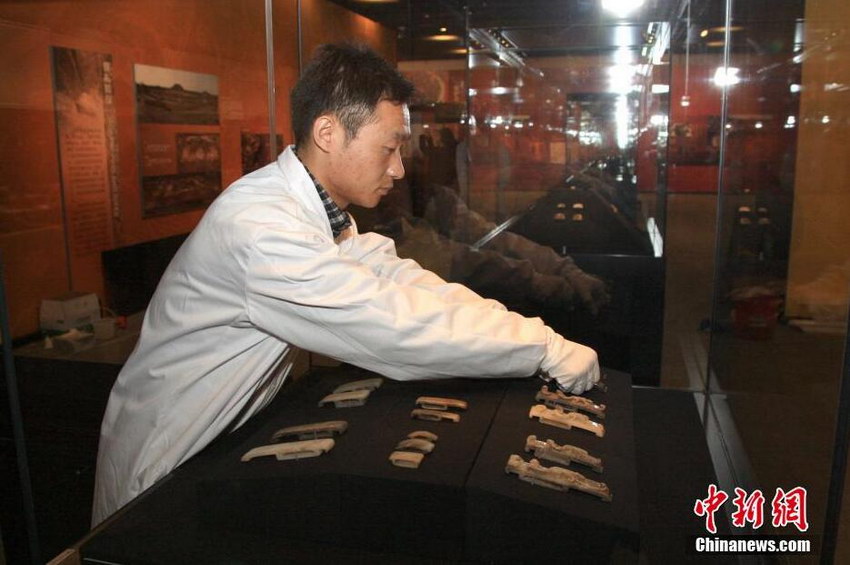 ����������ذ���չ��