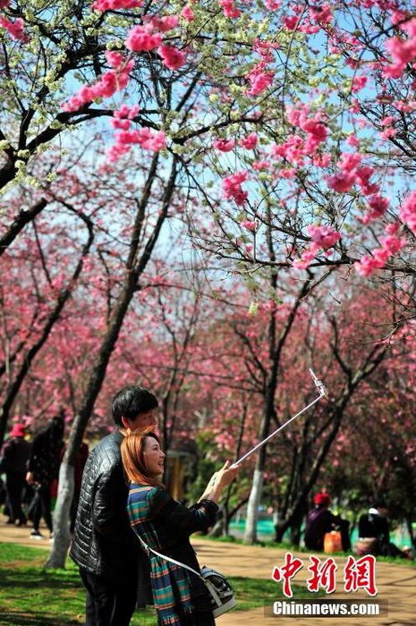 ����ӣ��ʢ�� ����̤���ͻ���3��