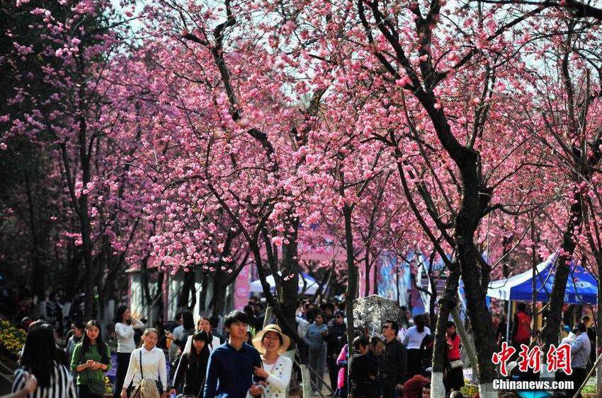 ����ӣ��ʢ�� ����̤���ͻ���4��