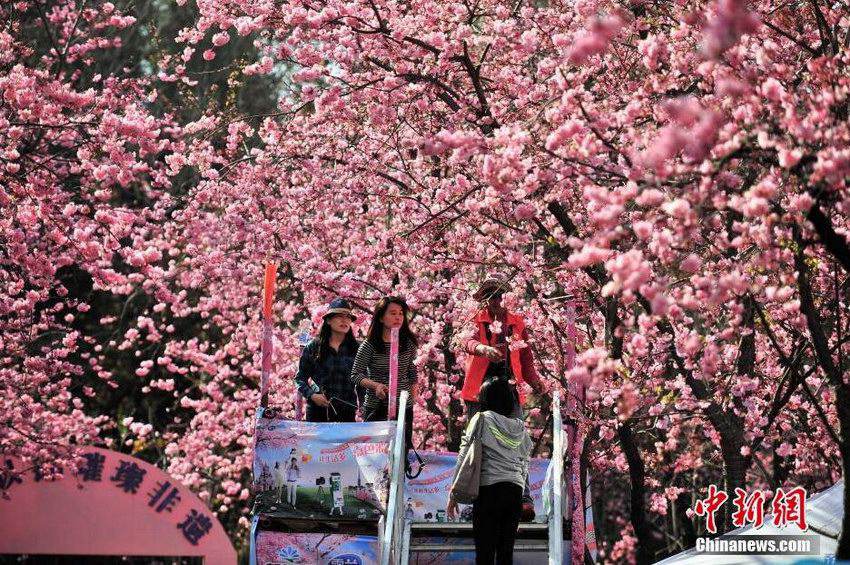 ����ӣ��ʢ�� ����̤���ͻ���5��