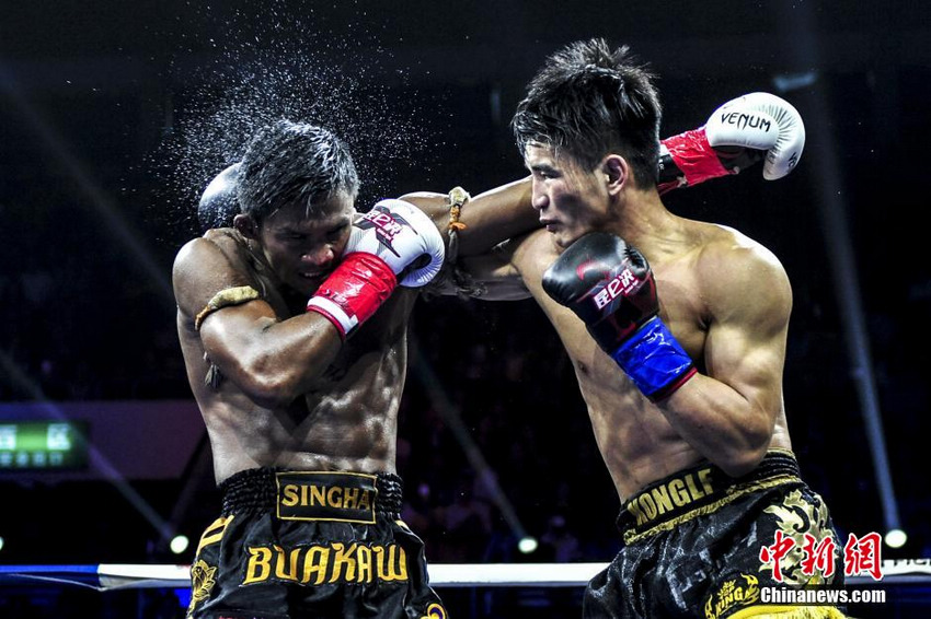�����ؾ�����ݸվ���� ̩ȭ�����������й�ѡ��