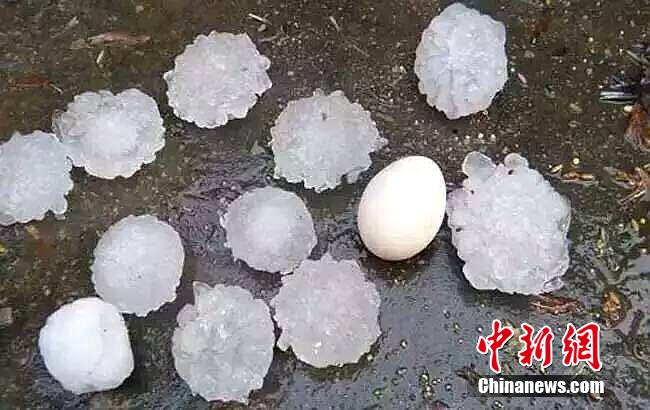 ���ϳ����⡰�����ꡱϮ�� �����������缦��
