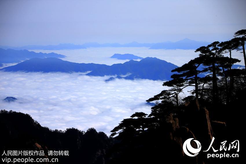 ���ջ�ɽ����ƺ���ۡ�5��