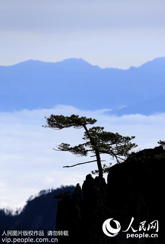 ���ջ�ɽ����ƺ���ۡ�8��