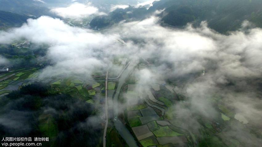 �����Ž�����ʱ����԰����3��