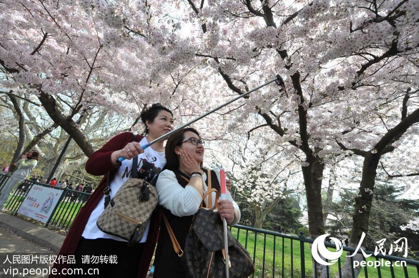 �����ൺӣ����� �������ɫ������5��