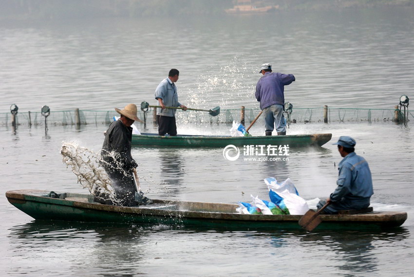 ����������Ư�ס��������ɡ�3��