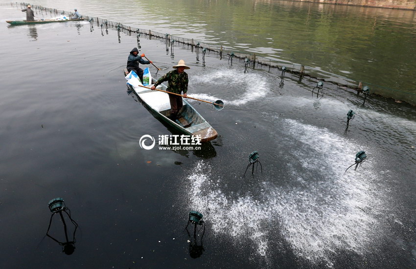 ����������Ư�ס��������ɡ�5��