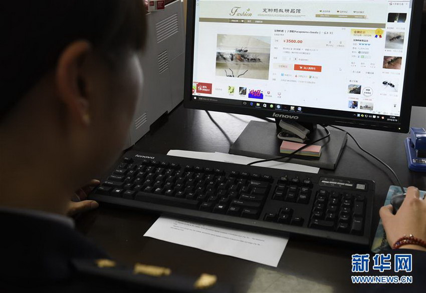 4��18�գ��Ĵ�������߾ֹ�����Աչʾĳ������վ�ϳ��۾������ϵ���Ϣ��