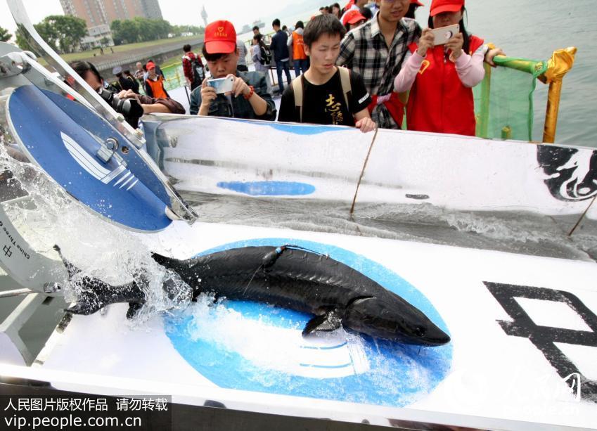 2020β�л���Ź鳤�� �״��������Ǳ��׷�ټ�⡾2��