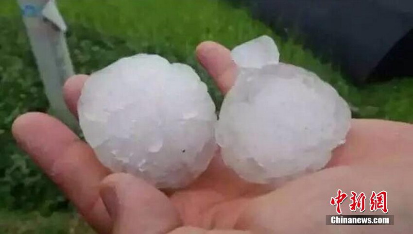 ������Ϫ��������Ϯ�� ���缦����2��