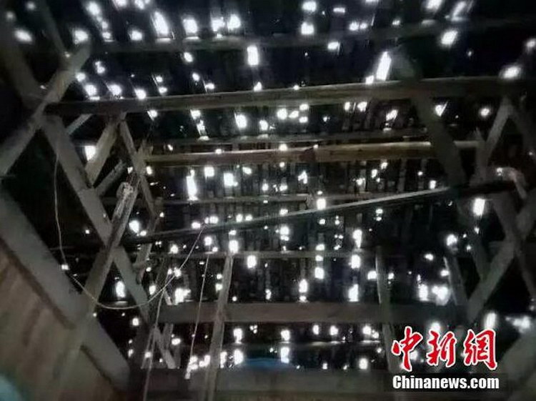 ������Ϫ��������Ϯ�� ���缦����5��