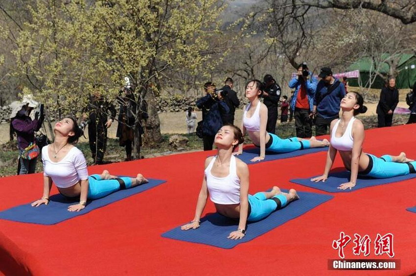 ��԰��������졾3��
