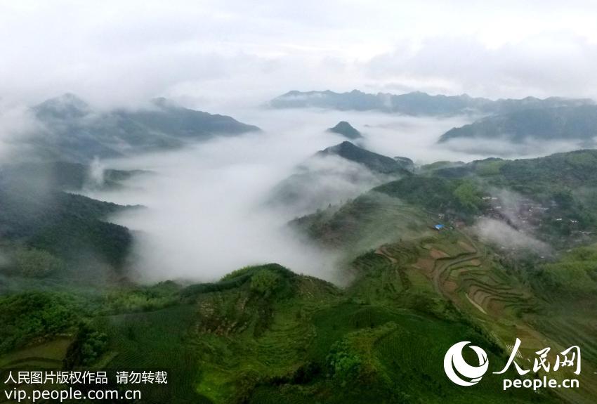 �㽭�������������ƺ���ۡ�3��