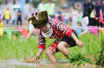 ��������¥�ɴ岼���干�쿪����