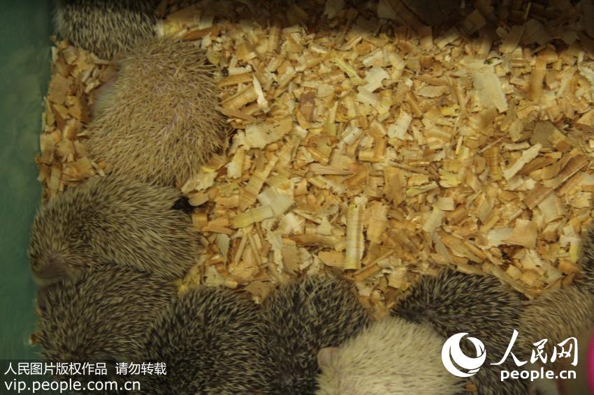 ���ķ��������⬡�