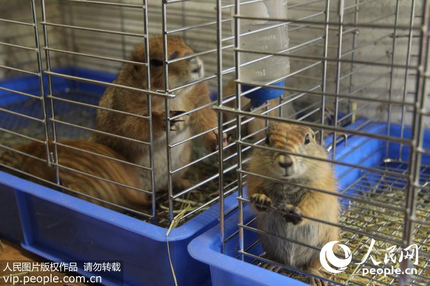 �����ش���