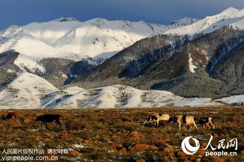 �½����ܶ���ɽѩ����