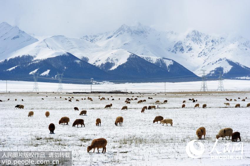 �½����ܣ�������Ⱥ��ɽ�ϲݳ���ɽ��ת����
