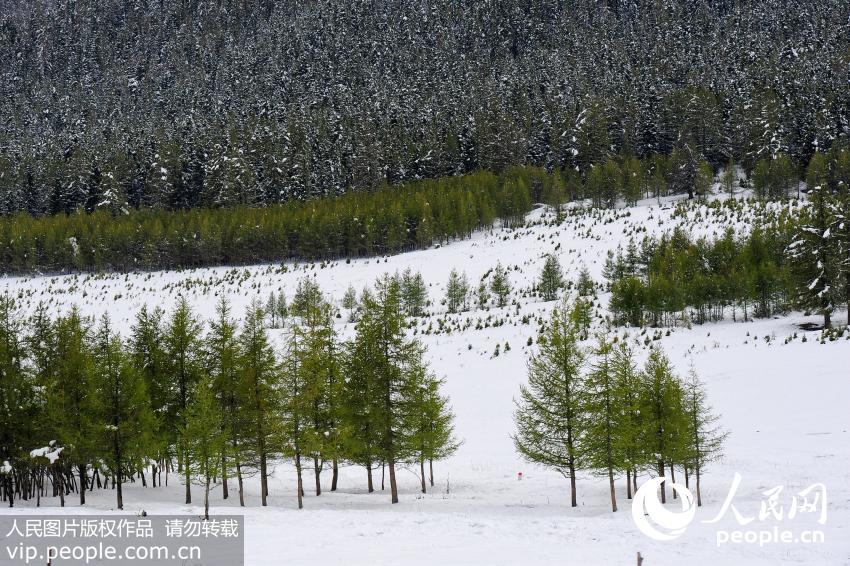 ��ѩ�����½����ܸո�Ⱦ�̵���ɽ������������װ��